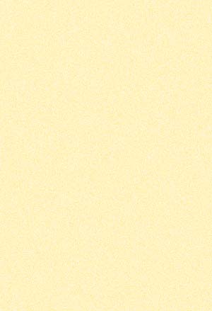 The blank back of the invitation